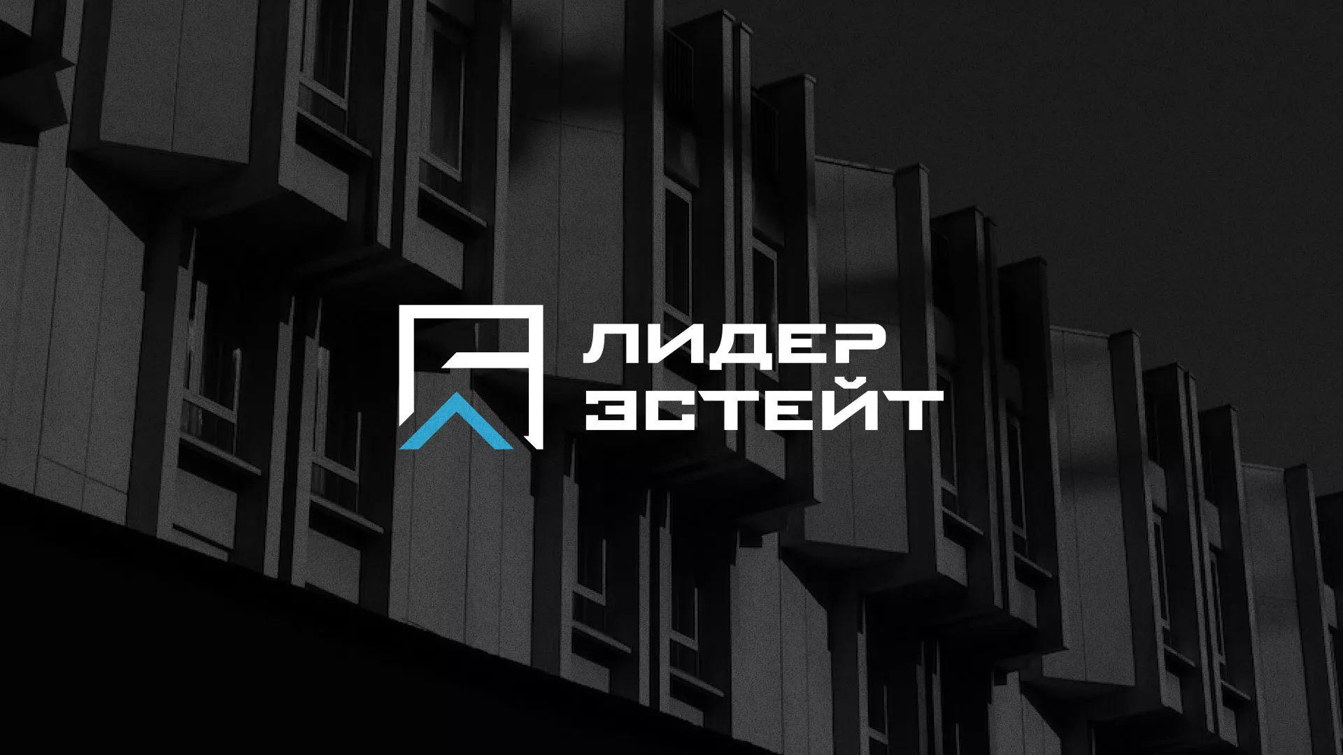 Разработка логотипа агентства недвижимости «Лидер Эстейт» в Крымске