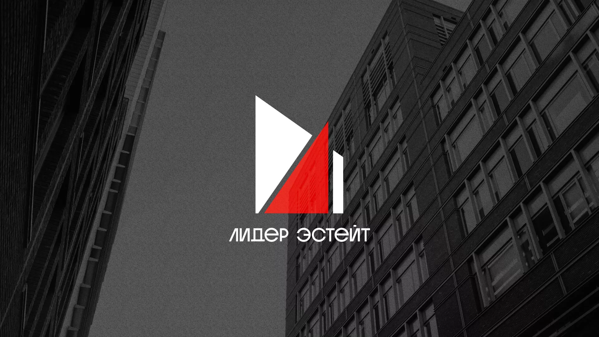 Сделали логотип для агентства недвижимости «Лидер Эстейт» в Крымске